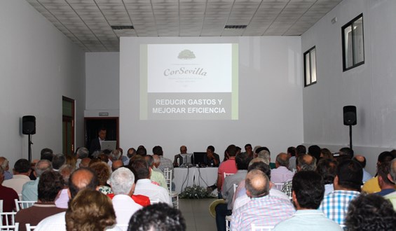 Socios-Asamblea-Corsevilla-2019