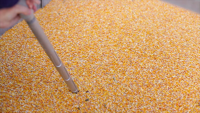 Grano