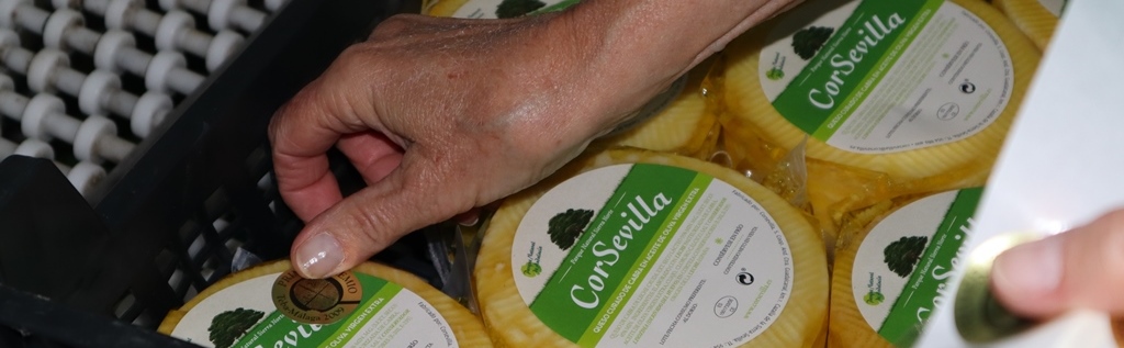 queso- aceite - oliva - cabra